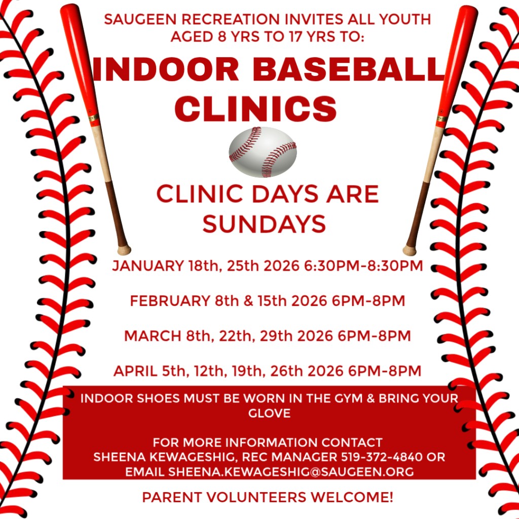 Indoor Baseball Clinics